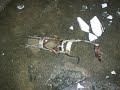 Psicofonias en un manicomio abandonado