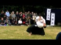 Meiji Jingu Kobudo Demo 2011 : Daito Ryu Aikijutsu