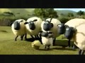 shaun the sheep - off the baa خروف شون ذا شيب رائع