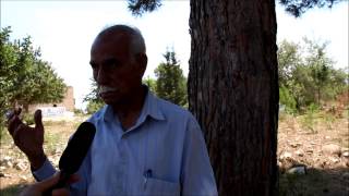 حكايات من الغابسية الفلسطينية المهجرة