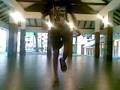 Sham Bungkus Hardjump