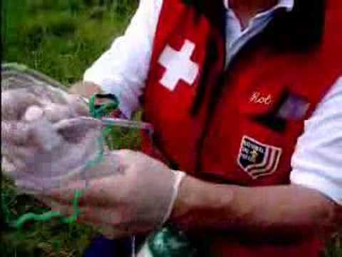 how to apply oec online