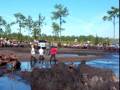videos de Rob's race - River Ranch