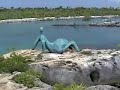 AKUMAL Quintana Roo AKUMAL Quintana Roo