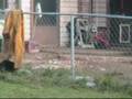 videos de Cat Mania: Damb Those Furballs! (Uncut)