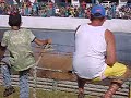 Cavalo de pau .......