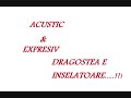 acustic&expresiv - dragostea e inselatoare Manele-Gratis.net
