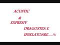 videos de acustic&expresiv - dragostea e inselatoare