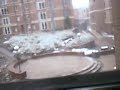 Snow fall caputer on Mobile phone