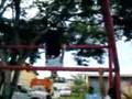 videos de olimpiadas con tavo