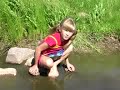 Tadpole Hunting