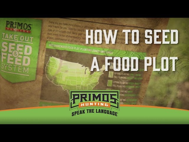 How to Seed a Food Plot