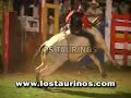 TORO EL PIRATA - LOS TAURINOS MONTA DE TOROS COSTA RICA TORO EL PIRATA - LOS TAURINOS MONTA DE TOROS COSTA RICA