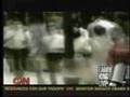 Oprah Winfrey - The Secret Movie