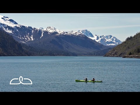 Yak & Whack | Alaska