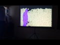 Kinect and Box2d for interactive projection #1