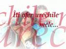 din dragoste for my love..adinutza and sorinel Manele-Gratis.net