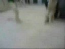 Accidentes y Errores de Militares