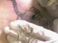 learn how to tattoo