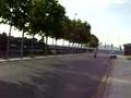 Muntal & Valls wheelies IV 
