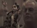 GAURA PURNIMA NO NOVO TEMPLO DO RIO DE JANEIRO (PARTE 02) GAURA PURNIMA NO NOVO TEMPLO DO RIO DE JANEIRO (PARTE 02)