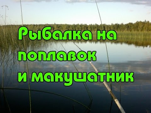 кого ловить на макуху кого ловить на макуху