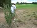GeekBoy Golf