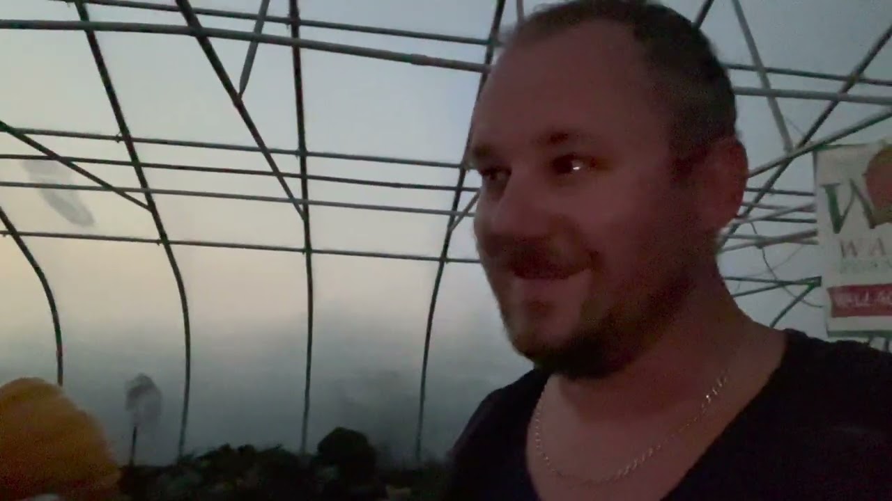 Grow A Giant Pumpkin - 8/30 Patch Update.