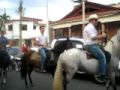Caballos Paso Fino en las calles de SanCri