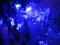 Schuimparty Dance Theatre de Treemter, Grou