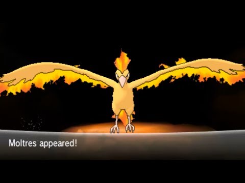 how to catch moltres in pokemon x