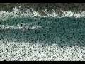 Surfing @  Naiharn beach - Phuket Thailand