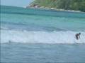 Surfing @  Naiharn beach - Phuket Thailand