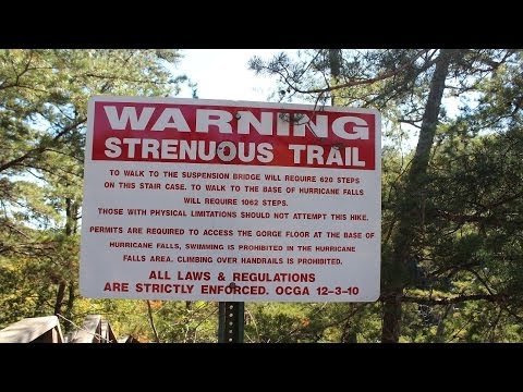 Suspension Bridge & FALLS at Tallulah Gorge State Park by The Lighthouse Lady