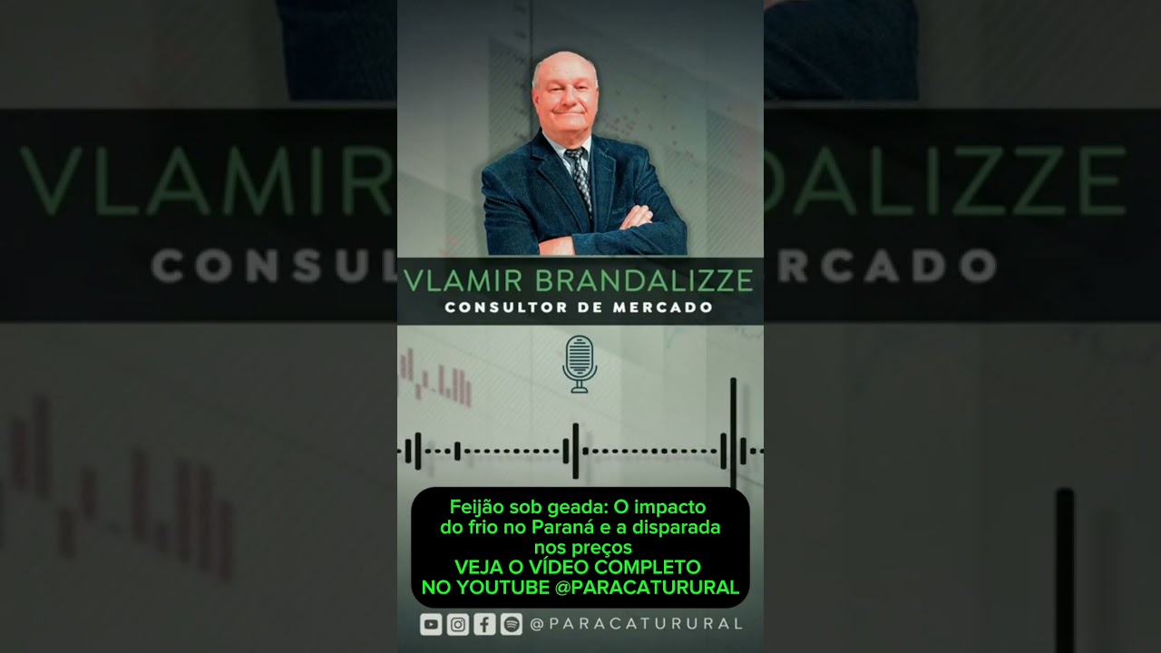 Feijão sob geada: O impacto do frio no Paraná e a disparada nos preços