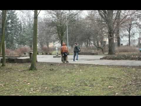 Video jaro