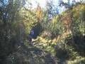 XV marcha BTT de San Román de Campezo (3 de 3)