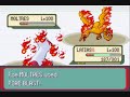 Pokemon Emerald DAFNK vs Pyramid King Brandon (gold)