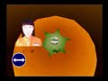 Suzuki Bakuhatsu - First Stage Suzuki Bakuhatsu - First Stage