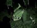 videos de Taylor Ramsey