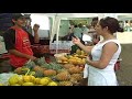 Today Justin and I http://www.DSterlin.com are headed to the local market for fresh fruits and vegetables. Our helpful guide and translator, Sandra, is a regular to the market and knows exactly where to go to get the sweetest fruits.In this video you'll experience the eco friendly markets of Jaco, Costa Rica. Only 10 minutes by car, this local market is a great place for those visiting Punta Leona to come restock.Held each week, the local market has an array of items and natural foods. You can even get fresh squeezed juices and home made dishes; sure to have you wanting more.Enjoy the video and stay tuned for more exclusive footage of our day in the market.http://myspaceblog.escapeintofreedom.com
