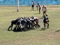Scrums - Philly, [16]