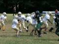 2008 PeeWee Red - Year in pictures
