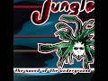 jamie myerson - revisions 

jungle: the sound of the underground compilation cd

here's an old one from 1996 (tho i didn't hear it 'till bout 2000 or 2001). i like the sound it's got, especially as dnb more or less no longer sports this sound. i added this not just simply because i like the tune, but because i've read comments stating u.s. dnb can't come wit da smooth jazzy flava (this said by an american mind you) or out right anti-u.s. dnb statements. if you live in the states, you gotta search for the music folks. we aren't on the level of the u.k. scene and instead of givin all the praise to their scene (which i entirely wont lie, it is good) and vilifying ours, try making ours better. i don't know why i bother, most people in the u.s. scene are too apathetic to do anything. it's like the late 90's rave scene all over again. what junglists need to do, is stop caring so much about the country of origin, roll one up or grab a blue moon, sit back and listen to some tunes. i'm gonna listen to some stim axel. 

sorry bout that rant y'all. anyways, check out other jamie myerson tunes under the aliases jlm productions, p.e.p., and sky city. it's not all dnb, but that shouldn't matter, should it?