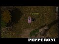 Pepperoni solo Odin Temple