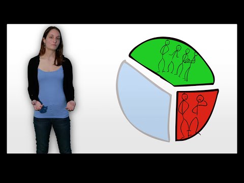 Computer Software - This video introduces the Software Engineering chapter of the