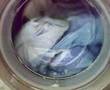 Hotpoint WT960 Washing Dog blanket!