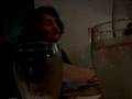 Mama, anguila electricas con chutney.MPG