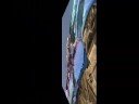 Halo Vehical Montage Halo Vehical Montage