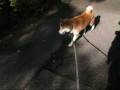 寒いくらいが丁度いいぜ!